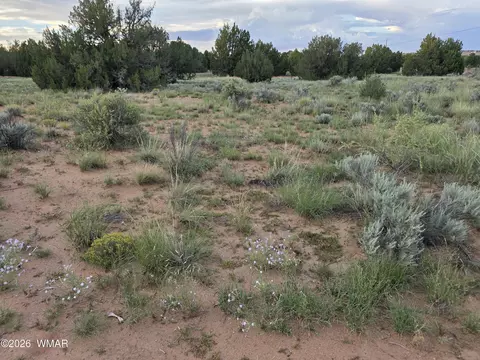 3908 Hidden Ranch Rd, Snowflake, AZ 85937 photo 6