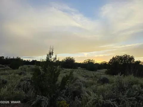 3908 Hidden Ranch Rd, Snowflake, AZ 85937 photo 13