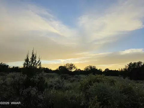 3908 Hidden Ranch Rd, Snowflake, AZ 85937 photo 14