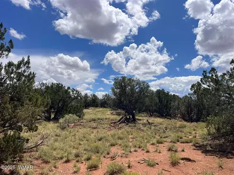 4151 4157 Sorrel Rd, Snowflake, AZ 85937 photo 2