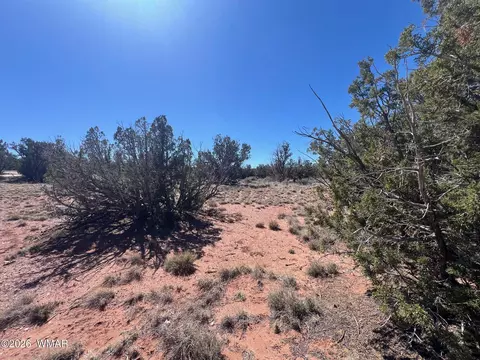 4151 4157 Sorrel Rd, Snowflake, AZ 85937 photo 4