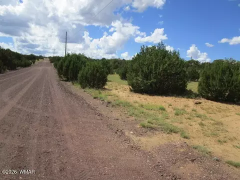 65 Co Rd 8021, Concho, AZ 85924 photo 13