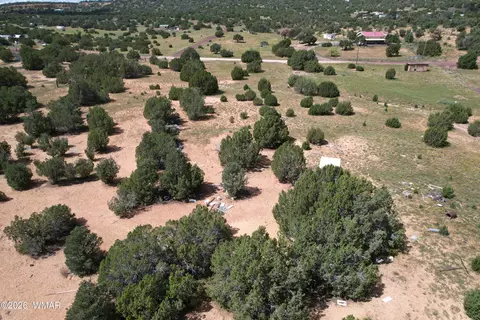 65 Co Rd 8021, Concho, AZ 85924 photo 19