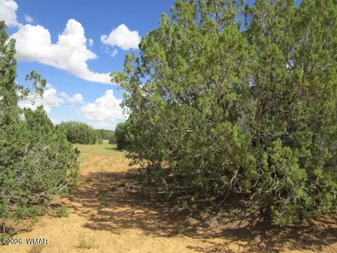 65 Co Rd 8021, Concho, AZ 85924 photo 8