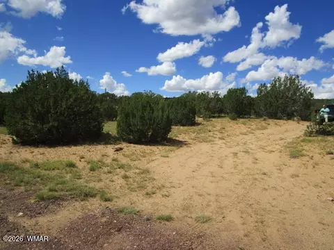 65 Co Rd 8021, Concho, AZ 85924 photo 14