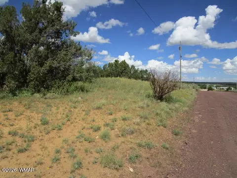 65 Co Rd 8021, Concho, AZ 85924 photo 16