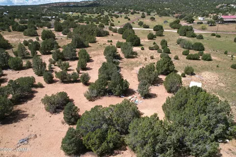 65 Co Rd 8021, Concho, AZ 85924 photo 20