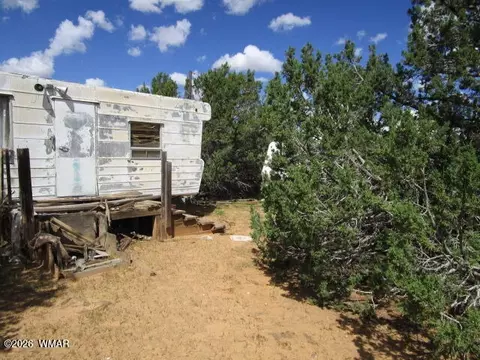 65 Co Rd 8021, Concho, AZ 85924 photo 9