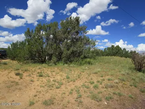 65 Co Rd 8021, Concho, AZ 85924 photo 15