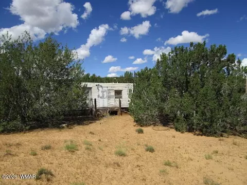 65 Co Rd 8021, Concho, AZ 85924 photo 7