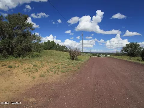 65 Co Rd 8021, Concho, AZ 85924 photo 12