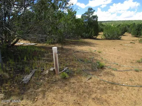 65 Co Rd 8021, Concho, AZ 85924 photo 4