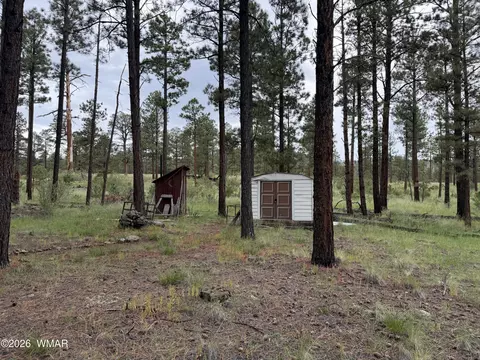 Exterior - 3 County Road N1040 St, Eagar, AZ 85925 photo 9 of 11
