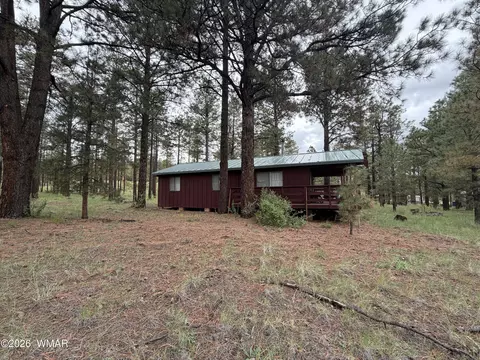 Exterior - 3 County Road N1040 St, Eagar, AZ 85925 photo 6 of 11