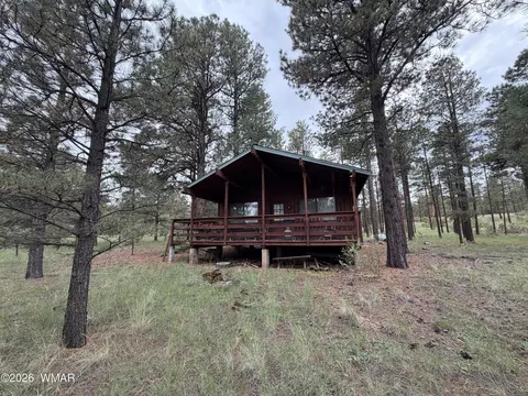 Exterior - 3 County Road N1040 St, Eagar, AZ 85925 photo 8 of 11