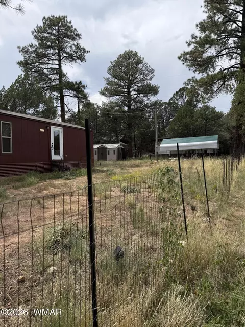 2854 Rainbow Trl, Overgaard, AZ 85933 photo 6