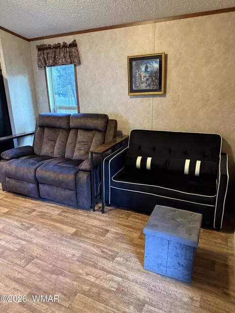 2854 Rainbow Trl, Overgaard, AZ 85933 photo 10