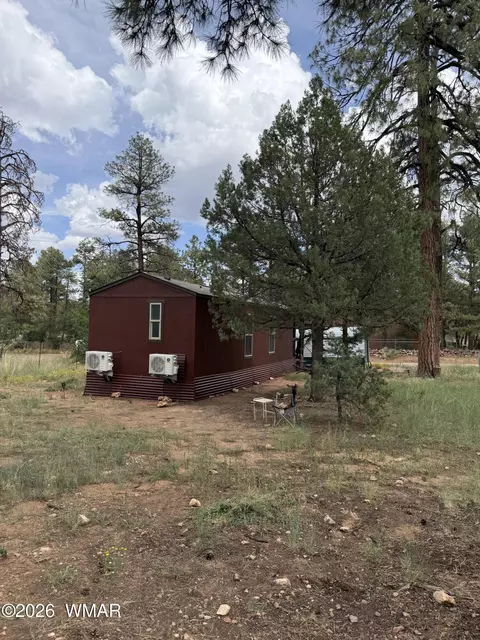 2854 Rainbow Trl, Overgaard, AZ 85933 photo 5