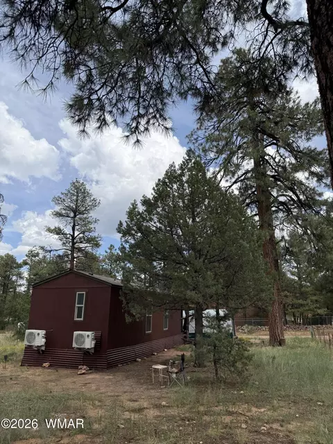 2854 Rainbow Trl, Overgaard, AZ 85933 photo 4