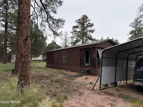 2854 Rainbow Trl, Overgaard, AZ 85933 photo 8