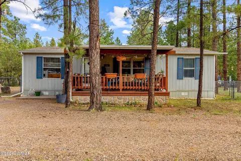 2032 Bald Eagle Ct, Overgaard, AZ 85933 photo 5