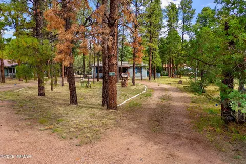 2032 Bald Eagle Ct, Overgaard, AZ 85933 photo 30