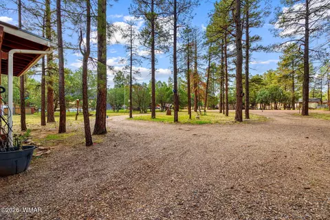2032 Bald Eagle Ct, Overgaard, AZ 85933 photo 3