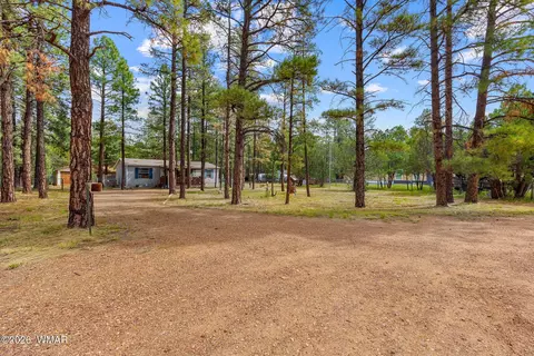 2032 Bald Eagle Ct, Overgaard, AZ 85933 photo 31