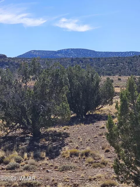 45 N 8579, Concho, AZ 85924 photo 6