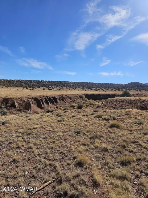 45 N 8579, Concho, AZ 85924 photo 4