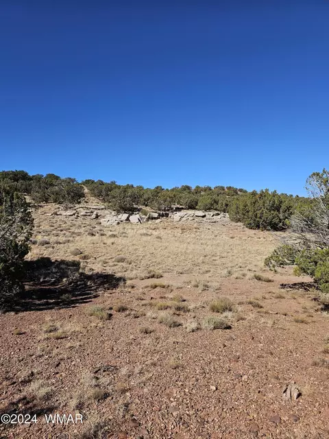 45 N 8579, Concho, AZ 85924 photo 3
