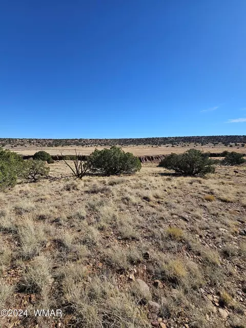 45 N 8579, Concho, AZ 85924 photo 5