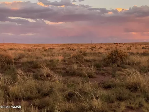 8430 Jones Rd, Woodruff, AZ 85942