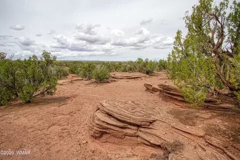 85426 State Route 180a, Concho, AZ 85924 photo 58