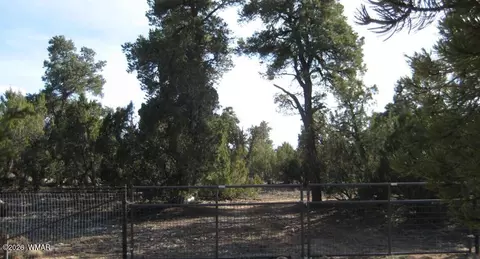 3249 E Aspen Rd, Overgaard, AZ 85933 photo 3
