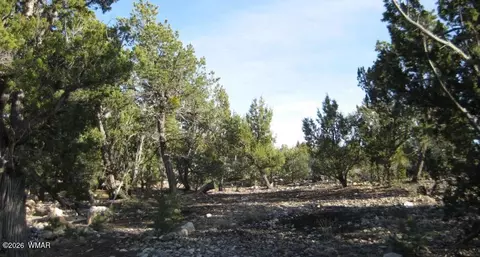 3249 E Aspen Rd, Overgaard, AZ 85933 photo 2