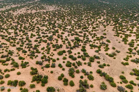 lot3 Witch Well Rnch, Saint Johns, AZ 85936 photo 15