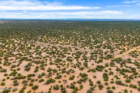 lot3 Witch Well Rnch, Saint Johns, AZ 85936 photo 10