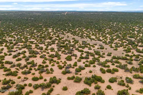 lot3 Witch Well Rnch, Saint Johns, AZ 85936 photo 9