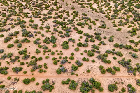 lot3 Witch Well Rnch, Saint Johns, AZ 85936 photo 16