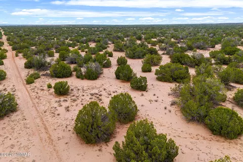 lot3 Witch Well Rnch, Saint Johns, AZ 85936 photo 3