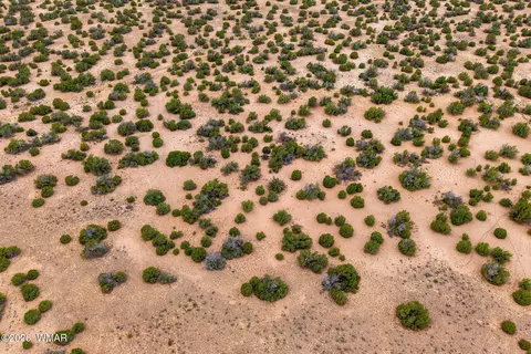 lot3 Witch Well Rnch, Saint Johns, AZ 85936 photo 18