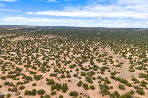 lot3 Witch Well Rnch, Saint Johns, AZ 85936 photo 8