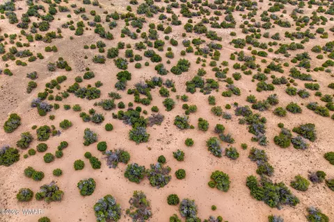 lot3 Witch Well Rnch, Saint Johns, AZ 85936 photo 19