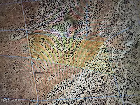 lot198 Tbd, Saint Johns, AZ 85936