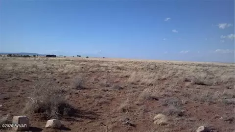 lot487 Chevelon Canyon Rnch UNIT 3, Heber, AZ 85928