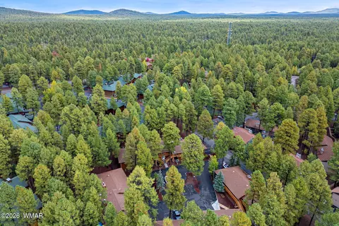 View/Area - 4308 Eagle Cir, Pinetop, AZ 85935 photo 3 of 4
