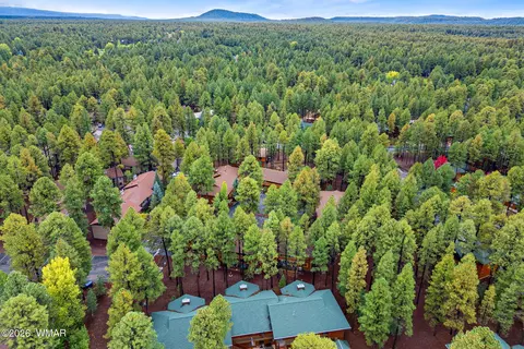 View/Area - 4308 Eagle Cir, Pinetop, AZ 85935 photo 1 of 4