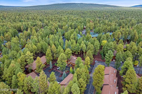 View/Area - 4308 Eagle Cir, Pinetop, AZ 85935 photo 2 of 4