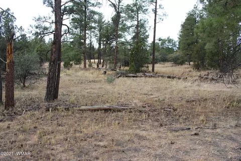 004 U Elk Trl, Show Low, AZ 85901
